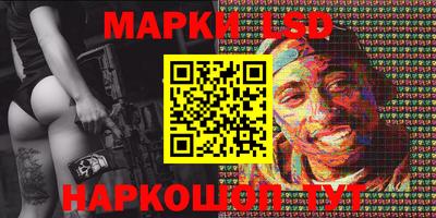 прущие крисы Кингисепп