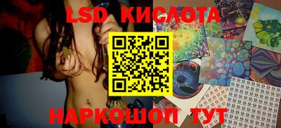 прущие крисы Кингисепп