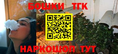 2c-b Камышлов