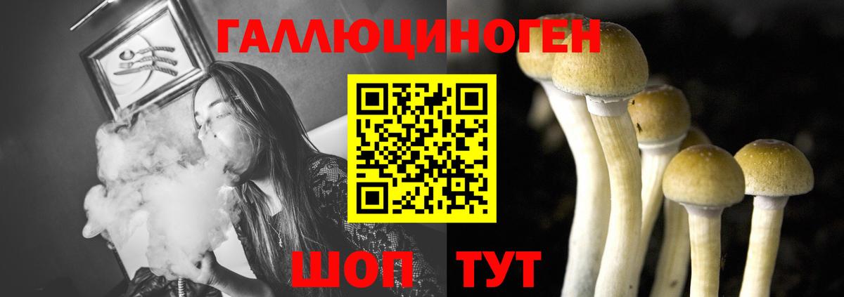 Псилоцибиновые грибы Magic Shrooms  Вход с VPN  где продают   Галлюциногенные грибы мицелий  Владивосток 